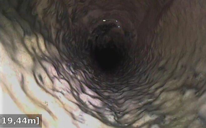 2019-02-05-11-06-25